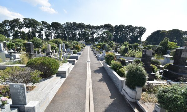 昭和霊園 一般墓 参道